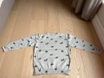 Trui Filou & Friends maat 7 jaar, Kinderen en Baby's, Kinderkleding | Maat 122, Ophalen of Verzenden, Zo goed als nieuw, Jongen