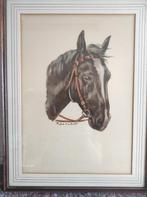 Peinture tête de cheval, Ophalen