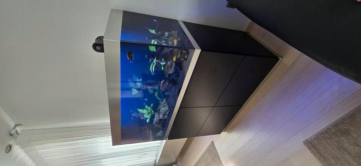 Aquarium Oase Highline 300, Dieren en Toebehoren, Vissen | Aquaria en Toebehoren, Gebruikt, Ophalen