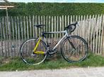 Ridley Pegasus, Fietsen en Brommers, Fietsen | Racefietsen, Minder dan 10 versnellingen, Gebruikt, Overige maten, 57 tot 61 cm