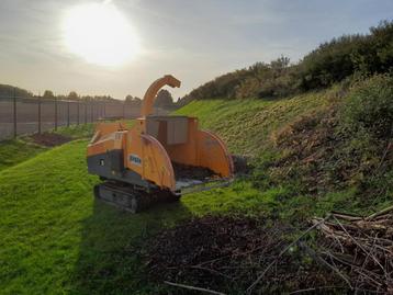 Snoeien, vellen en hakselen van bomen