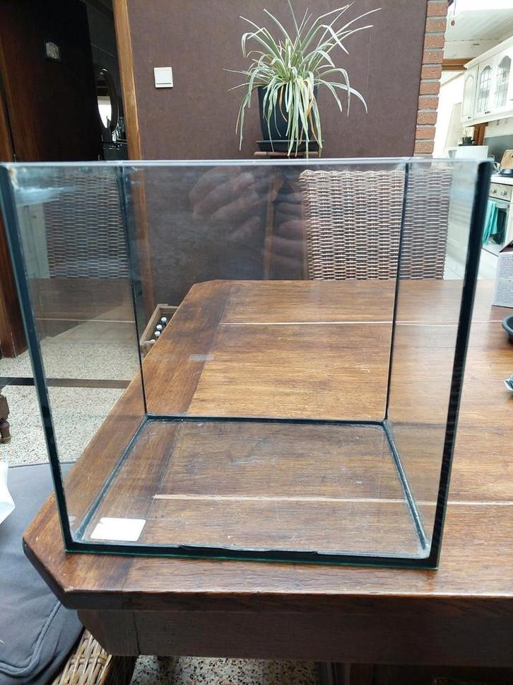 Aquarium, Dieren en Toebehoren, Vissen | Aquaria en Toebehoren, Zo goed als nieuw, Ophalen of Verzenden