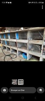Katinais cage pour lapin en béton, Animaux & Accessoires, Rongeurs & Lapins | Cages & Clapiers, 60 à 90 cm, Lapin, 75 à 110 cm