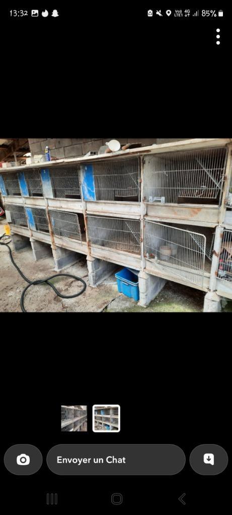 Katinais cage pour lapin en béton, Animaux & Accessoires, Rongeurs & Lapins | Cages & Clapiers, Utilisé, Cage, 60 à 90 cm, 75 à 110 cm