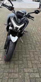 CFmoto 800NK, Plus de 35 kW, 799 cm³, Particulier, ABS