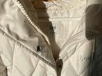 Lee Winterjas, Vêtements | Femmes, Blousons sans Manches, Enlèvement, Neuf, Taille 38/40 (M)