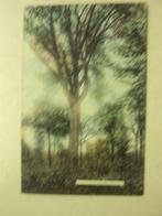 49911 - BONSECOURS - LE GROS PEUPLIER, Envoi