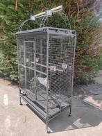 Cage à perroquets de Macao - 235, Enlèvement, Neuf, Métal, Cage à oiseaux