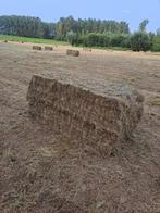 Grote en kliene balen hooi,stro,voordroog midibalen, mais, Zakelijke goederen, Ophalen of Verzenden