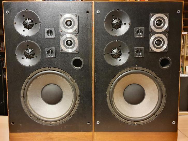 2 speakers / luidsprekers zelfbouw Kitsound Polykit Product, Audio, Tv en Foto, Luidsprekerboxen, Ophalen