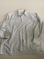 cambridge super xl bloes, Kleding | Dames, Overige kleuren, Maat 42/44 (L), Ophalen of Verzenden, Gedragen