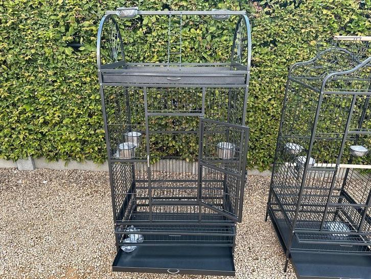 Papegaaienkooi Queen, Dieren en Toebehoren, Vogels | Hokken en Kooien, Nieuw, Vogelkooi, Ophalen of Verzenden