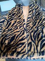 Wintervesten 12 en 14 jaar, Ophalen, Jongen of Meisje, Zo goed als nieuw, Woody