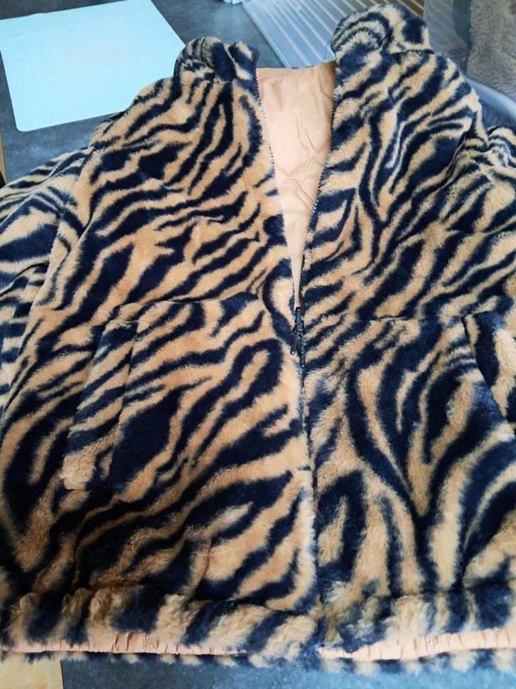 Wintervesten 12 en 14 jaar, Kinderen en Baby's, Kinderkleding | Maat 152, Zo goed als nieuw, Jongen of Meisje, Jas, Ophalen