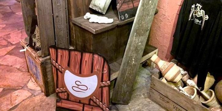 GEZOCHT: Unieke Toverland Items, Tickets en Kaartjes, Recreatie | Pretparken en Attractieparken