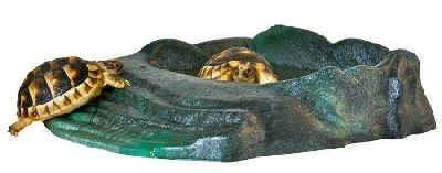 Zoo Med Repti Ramp Bowl Large, Dieren en Toebehoren, Reptielen en Amfibieën | Toebehoren, Ophalen of Verzenden