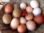 Verse scharreleieren, Dieren en Toebehoren, Pluimvee