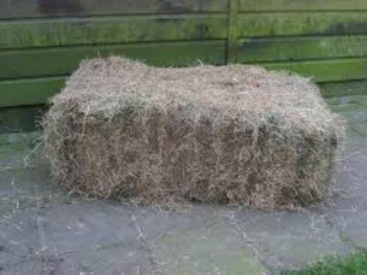 Hooi kleine busselen Hasselt, Dieren en Toebehoren, Dierenvoeding, Overige soorten, Ophalen