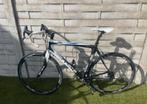 Racefiets Zannata Z80 (58) groep Campagnolo, Ophalen, Zo goed als nieuw, Carbon