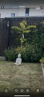 Boudha beeld, Ophalen, Gebruikt, Boeddhabeeld