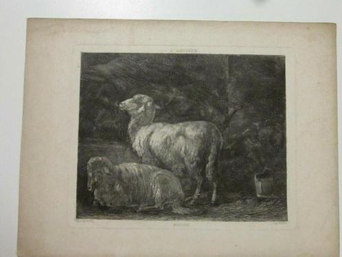 Gravure Camille Adrien PARIS XIXème Moutons, Antiquités & Art, Art | Eaux-fortes & Gravures, Enlèvement ou Envoi