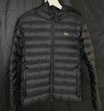 Veste lacoste, Neuf, Enlèvement ou Envoi, Lacoste, Taille 48/50 (M)