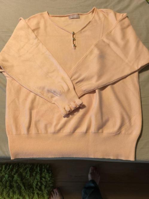 Truitje van Cassis, Kleding | Dames, Truien en Vesten, Nieuw, Maat 42/44 (L), Roze, Verzenden