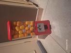 Vintage kauwgomballenautomaat, Antiek en Kunst, Ophalen