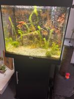 Aquarium, Ophalen, Gebruikt, Gevuld zoetwateraquarium