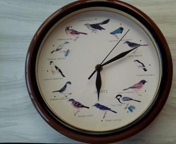 Pendules ou horloges oiseaux et à quartz, Huis en Inrichting, Woonaccessoires | Klokken, Zo goed als nieuw, Wandklok, Ophalen of Verzenden