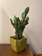 Keramieken groene bloempot – organische vorm - 12cm hoog, Tuin en Terras, Ophalen, Binnen, Zo goed als nieuw, Overige vormen