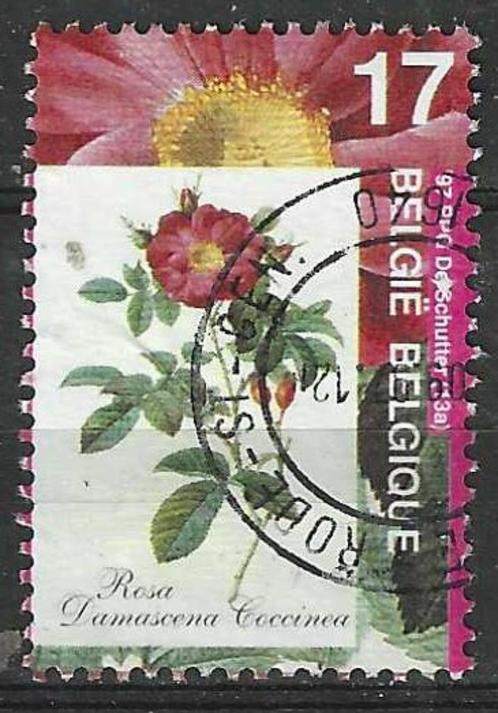 Belgie 1997 - Yvert 2709 /OBP 2708 - Flora - Rozen  (ST), Timbres & Monnaies, Timbres | Europe | Belgique, Affranchi, Envoi