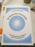 Christiane Beerlandt - De hoorn des overvloeds, Ophalen of Verzenden, Zo goed als nieuw, Christiane Beerlandt