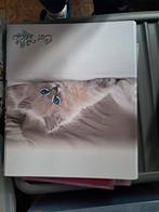 9 farde, Divers, Fournitures scolaires, Enlèvement ou Envoi