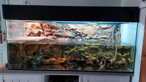 Mooi aquarium te koop voor vissen of schildpadden, Dieren en Toebehoren, Vissen | Aquaria en Toebehoren, Zo goed als nieuw, Ophalen