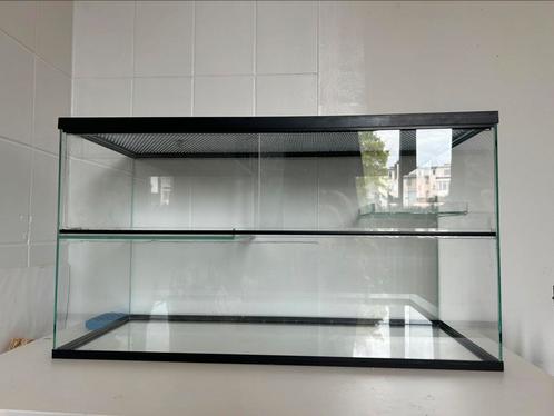 Glazen hamster kooi en accesoires, Dieren en Toebehoren, Knaagdieren en Konijnen | Hokken en Kooien, Gebruikt, Kooi, Minder dan 60 cm
