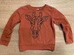 Trui Besties maat 134 met giraf, Enlèvement, Besties JBC, Pull ou Veste