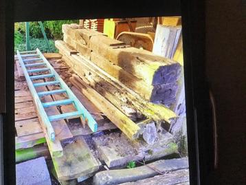GRATIS treinbilzen LICHTERVELDE beschikbaar voor biedingen