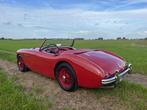 Austin Healey 100/4 1954, Autos, Austin, Rouge, Achat, Entreprise, Cabriolet