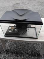 aquarium, Animaux & Accessoires, Poissons | Aquariums & Accessoires, Enlèvement