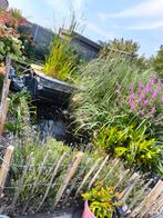 Bouture de plantes, Ophalen, Zo goed als nieuw