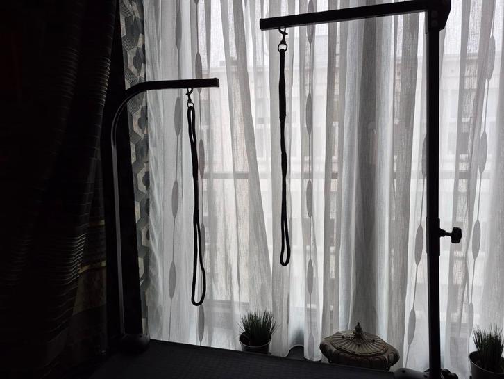 Hondentrimtafel, Dieren en Toebehoren, Honden-accessoires, Nieuw, Ophalen