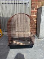 Vogelkooi b54 x d34 x h75cm, Ophalen, Zo goed als nieuw, Vogelkooi