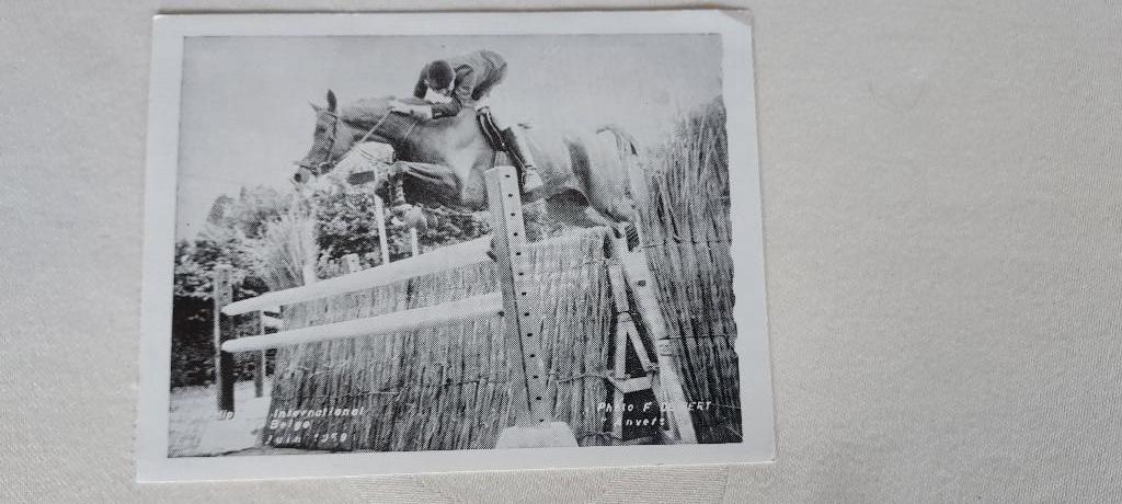 oude postkaart jumping Kruishoutem (Bouckaert), 1971, Verzenden, 1960 tot 1980, Ongelopen, Oost-Vlaanderen