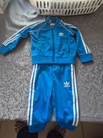 trainingspak adidas baby, Ophalen