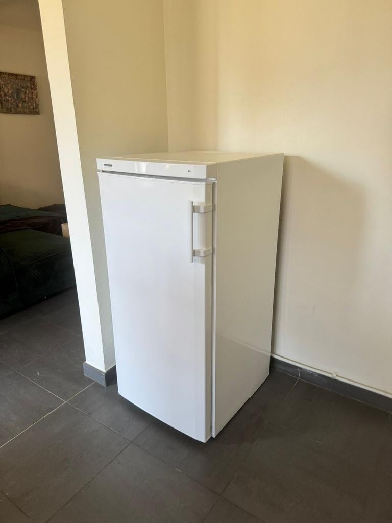 Liebherr SN-ST 7 6006 4 221l, Elektronische apparatuur, Vriezers en Diepvrieskisten, Ophalen