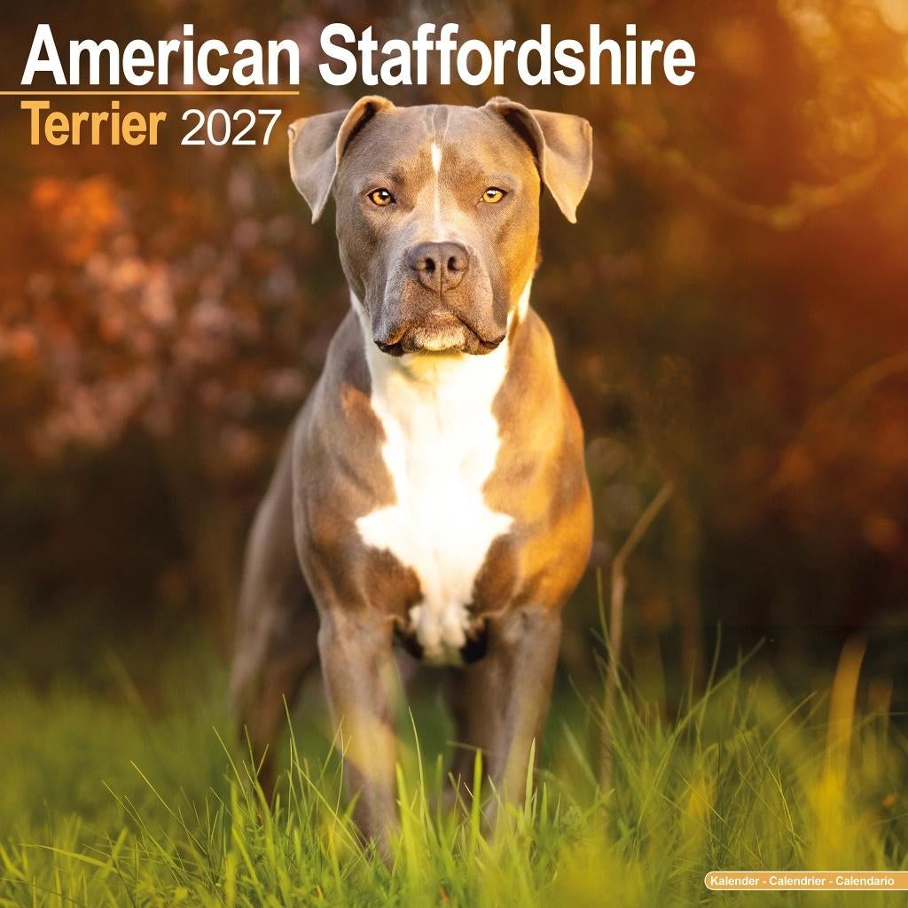 Pre-orderkalender voor American Staffordshire Terrier 2027, Diversen, Kalenders, Verzenden, Jaarkalender, Nieuw