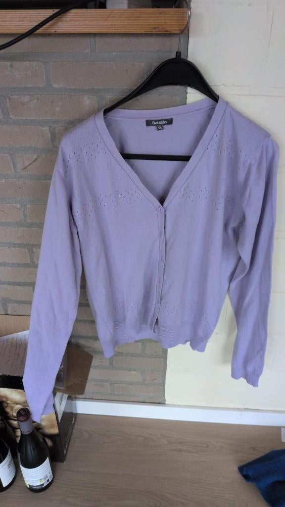 paars gilet van Bel&Bo - XXL - 5€, Bel & Bo, Ophalen of Verzenden, Zo goed als nieuw, Paars