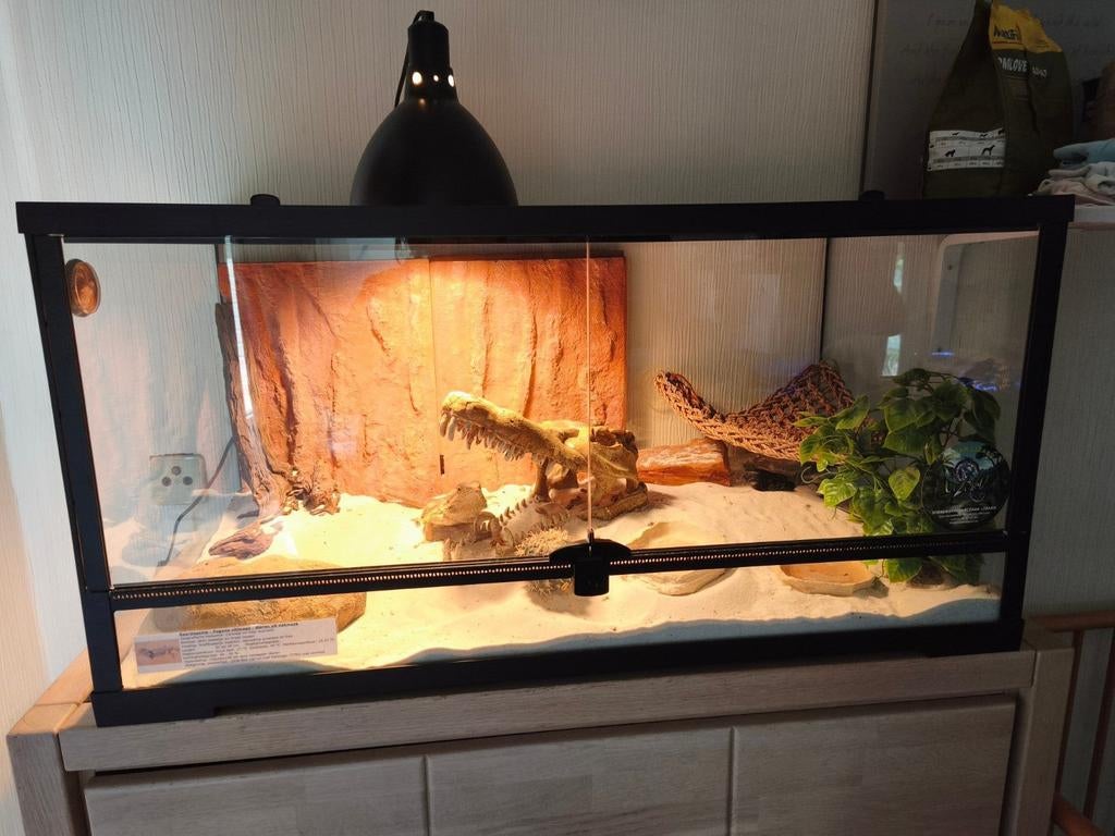 Terarium met toebehoren, Ophalen