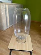 Vaas Rasteli, Enlèvement, Comme neuf